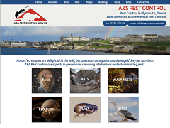 A&S Pest Control